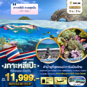 ดำน้ำชมที่สุดของปะการังเมืองไทย ร่องน้ำจาบัง ปะการังเจ็ดสี เกาะไข่ มัลดีฟเมืองไทย เกาะหินงาม อาดังราวี ถนนคนเดิน ตลาดกิมหยง พิเศษ!! พักบนเกาะหลีเป๊ะ อันดา รีสอร์ท